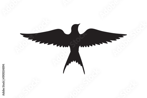 Black silhouette of a swift bird with wings fully spread and a distinctive forked tail isolated on a white background
