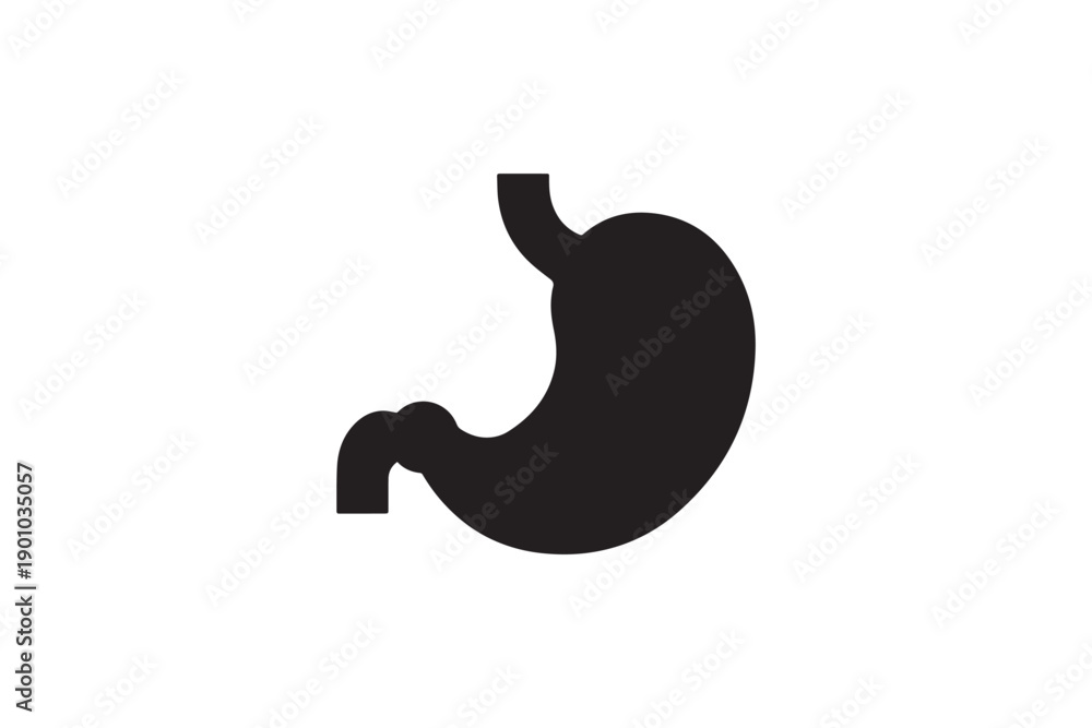 Fototapeta premium Anatomy stomach silhouette icon graphic for medical education isolated on white background depicting internal human digestive system organ shape