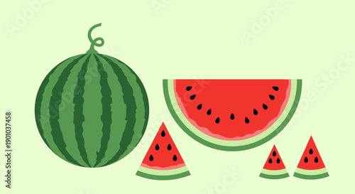 Assorted watermelon slices and whole fruit illustration.