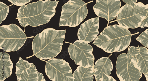 Elegant seamless pattern featuring large, variegated ficus or rubber plant leaves in muted green and cream against a solid dark background.