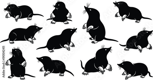 Cartoon-style mole character illustrations in various poses and expressions, perfect for educational materials, wildlife design, animation assets, and storytelling projects.