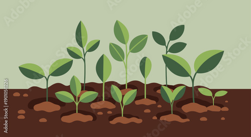 Illustration of small green seedlings growing in brown soil against a light green background. Suitable for environmental, gardening, or educational content.