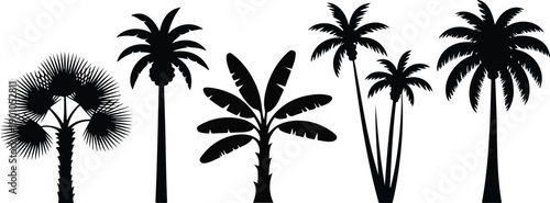 Tropical Palm Silhouette Collection Minimal Black & White Vector