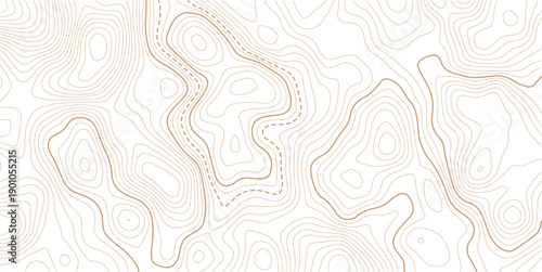 Abstract topo contour map on white background,Topographic map Topographic contour lines map seamless pattern. Topography background. Vector banner. Topo.
