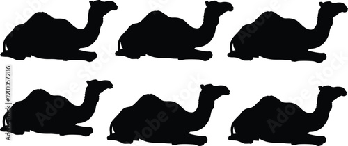 Black and White Vector Silhouette Illustration Set of Six Camels Sitting for Desert Travel Middle East Tourism Safari Animal Theme and Nature Branding Projects