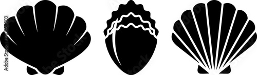 Illustration of seashells and acorn in a simple, graphic style from a straightforward viewpoint.