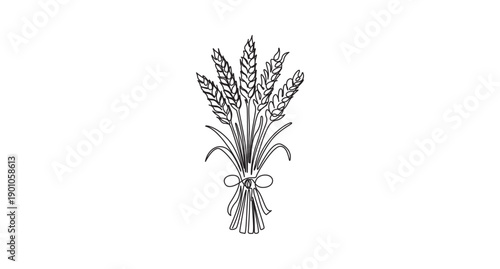 Simple Wheat Sheaf Line Art,Line Art Wheat Stalks,Line Art Illustration of Two Wheat Stalks,Hand-drawn Wheat Sheaf with Ribbon