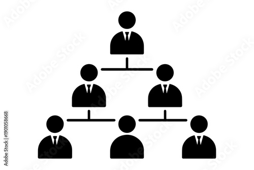 organizational structure with a hierarchical flow of authority, demonstrating clear management and reporting lines