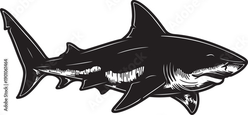 A dynamic black and white engraving illustration of a formidable shark, showcasing its sleek body and sharp features with a traditional, hand-drawn aesthetic against a clean white backdrop.

