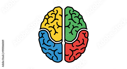 A colorful brain illustration divided into four sections in yellow, green, blue, and red, representing different aspects of cognitive function and mental processes from a frontal viewpoint.