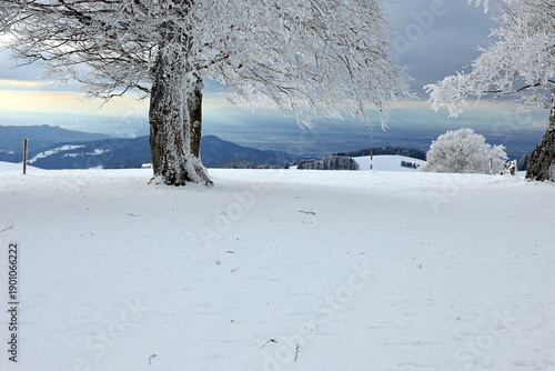 Idyllische Winterlandschaft auf dem Schauinsland bei Freiburg