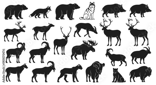 Collection of Silhouettes of Various Wild Animals in Different Poses.