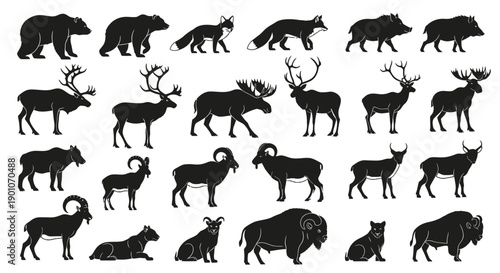 Collection of Silhouettes of Various Wild Animals in Different Poses.