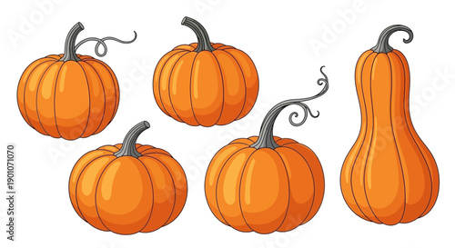 A collection of five vibrant orange pumpkins, including round and elongated varieties, with decorative stems, set against a white background.