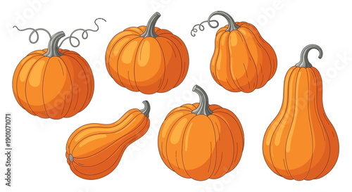 A collection of seven vibrant orange pumpkins of various shapes and sizes, some with curly stems, set against a white background.