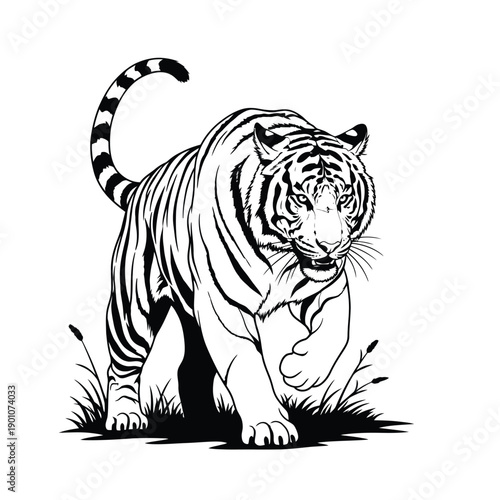 A black and white illustration of a tiger crouching in grass looking forward with intense gaze powerful and fierce animal