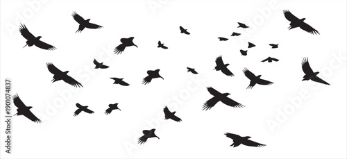 flying birds silhouettes on white background illustration 