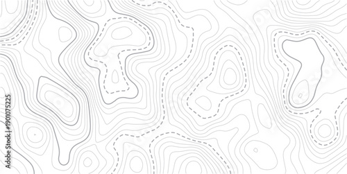 Topographic map and landscape terrain texture grid. Abstract white topography vector background.abstract wavy background. topographic contour background. Topography background. Vector banner. Topo.