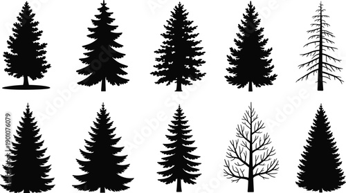 Set of black pine and fir tree silhouettes collection isolated on white background, forest nature elements for winter landscape design, logos, icons, and vector illustrations