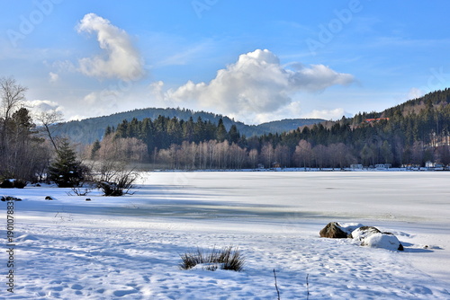 Winterlandschaft am Titisee im Schwarzwald