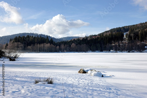 Winterlandschaft am Titisee im Schwarzwald