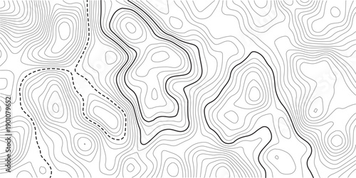 Topographic map and landscape terrain texture grid. Abstract white topography vector background.abstract wavy background. topographic contour background. Topography background. Vector banner. Topo.