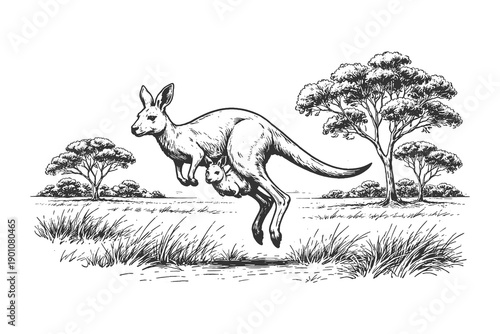 Jumping Mother Kangaroo with Joey in Pouch in the Australian Outback Savannah Landscape Hand Drawn Vintage Style Black and White Vector Illustration