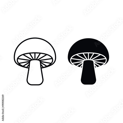 Red mushroom isolated on black background vector illustration