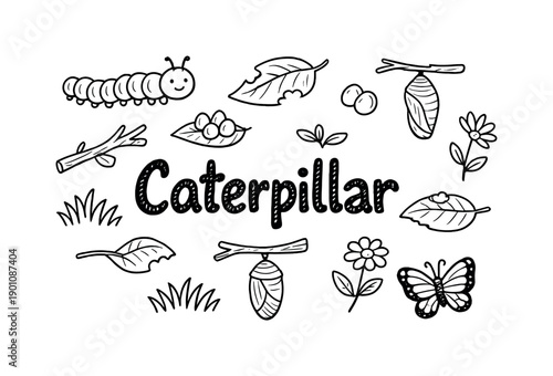 Caterpillar. Hand-drawn doodle illustration of Caterpillar. caterpillar, leaf, bite marks, egg, branch,