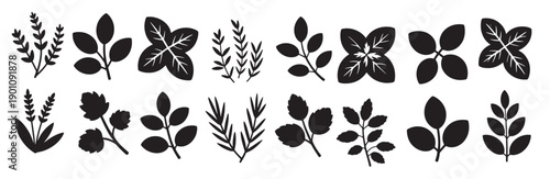 collection of botanical leaf silhouette