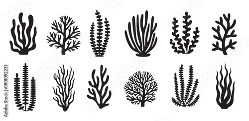diverse marine flora silhouettes coral seaweed