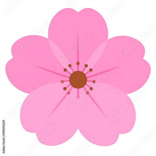 Simple depiction of a five-petal pink flower, with brown center and star-shaped pistil detail