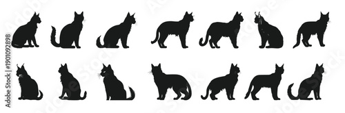 lynx cat silhouettes vector set black cats silhouette 