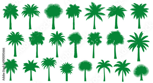A collection of various green palm tree silhouettes on a white background, showcasing different shapes and sizes.