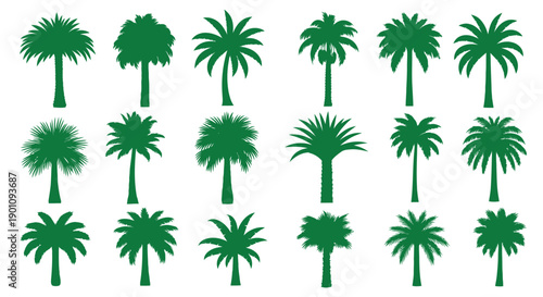 A collection of diverse green palm tree silhouettes, showcasing various shapes and sizes of tropical foliage.
