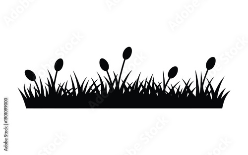 Black silhouette of grass and seed pods on white background simple botanical illustration for design and decoration