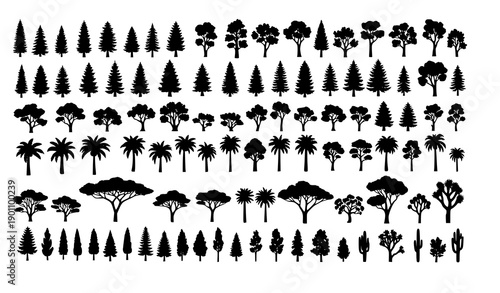 Big Tree Silhouette Vector Set Featuring Trees from Different Natural Zones