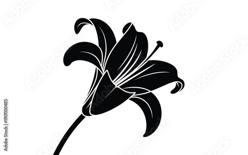 Black lily flower silhouette with white outlines on plain background