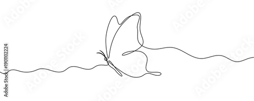 Butterfly in line art style. Minimalist drawing of an insect with spread wings, made in a single continuous line. Vector illustration.