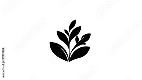 Black Silhouette of a Growing Plant with Leaves on White Background