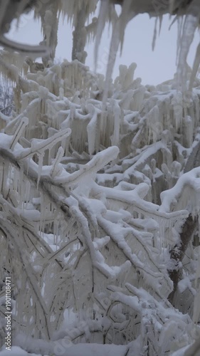 Winter ice covers trees in a frozen landscape in cold weather