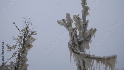 Winter ice covers trees in a frozen landscape in cold weather