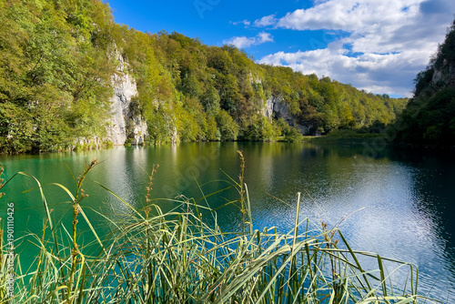 Wallpaper Mural Ruhiger See mit Schilf im Nationalpark Plitvice, Plitvicer Seen, Lika-Senj, Kroatien Torontodigital.ca