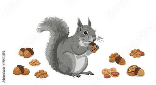 Hungry gray squirrel with bushy tail eating a nut, surrounded by an abundance of acorns, walnuts, and peanuts on a clean white background.