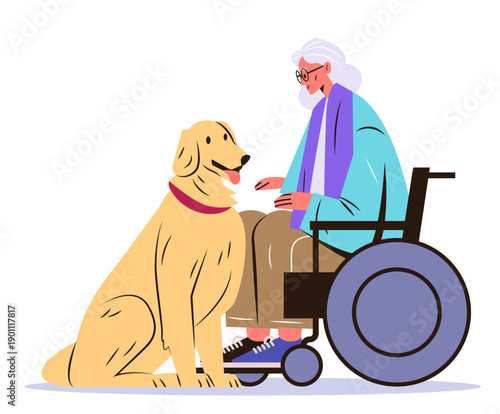 Senior woman wheelchair assistance dog companionship elderly person interacting with golden retriever pet friendly care concept flat design
