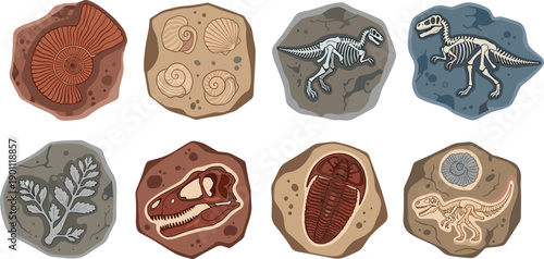 Fossil collection illustration featuring dinosaur skeletons shells plants and prehistoric remains preserved in stone for paleontology concept