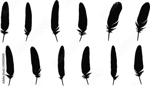 Black feather silhouettes set, bird plumage collection, minimalist nature elements, hand drawn vector illustration, isolated white background, design, art, pack
