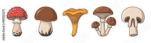 Set of five different cartoon mushrooms including fly agaric, porcini, chanterelle, and champignon in a whimsical illustrated style