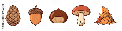 Pinecone acorn chestnut mushroom and autumn leaves illustration set featuring various natural elements of the fall season in a charming cartoon style.