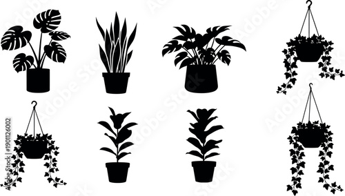 Collection of modern houseplants in stylish pots and hanging baskets